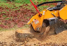 Lawn Grading and Leveling in Barker Heights, NC